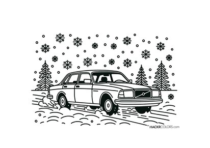 Winter Drive in the Snow