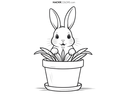 Bunny's Flower Pot Surprise