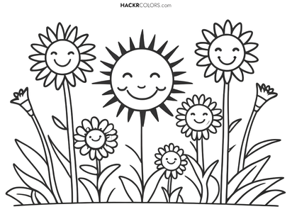 Summer Flowers